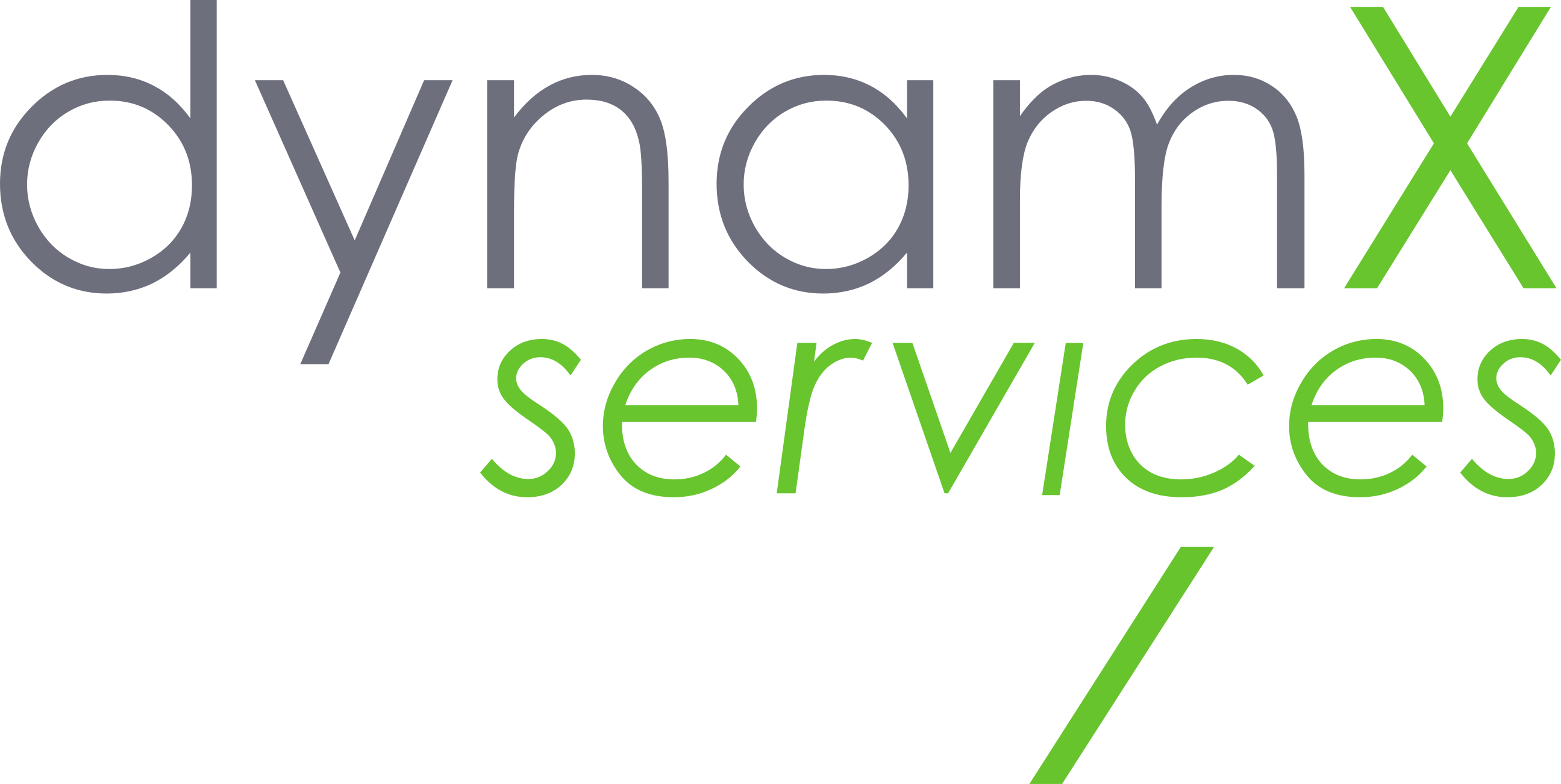 dynamX services